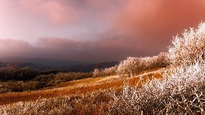 Jakovo