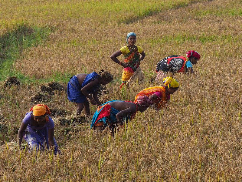 Jeypore Odisha India