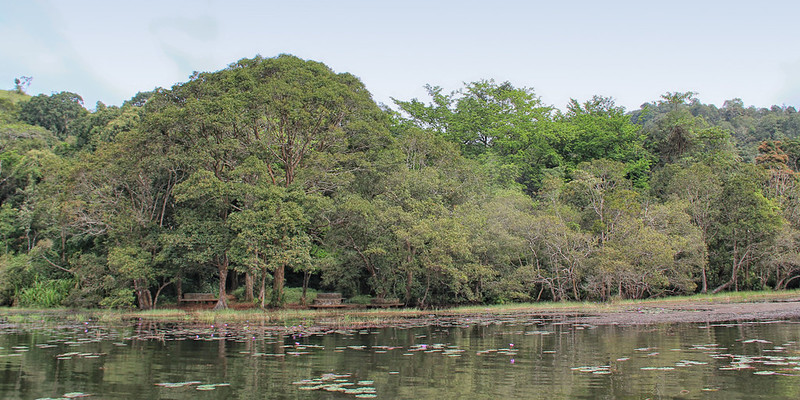 Kalpetta Kerala India
