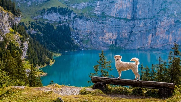 Kandersteg  Switzerland