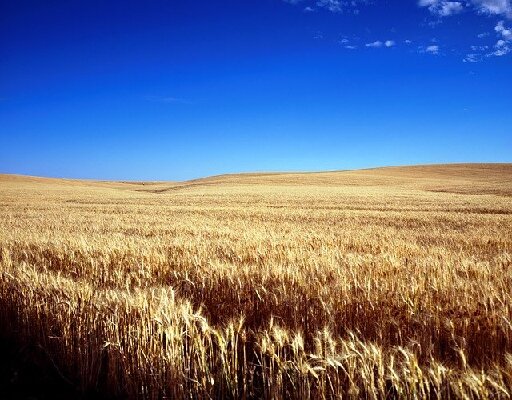 Kansas United States