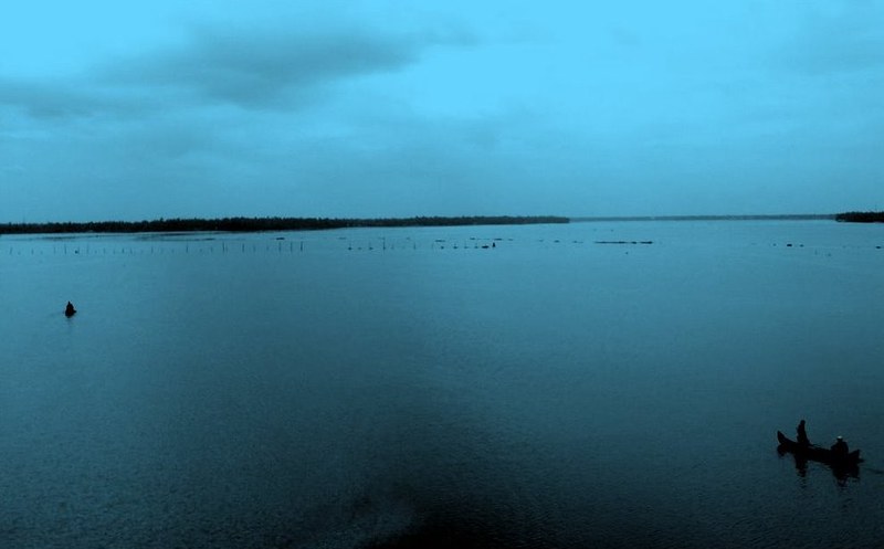 Kochi (Cochin)  India