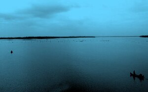 Kochi (Cochin)