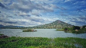 Kolar