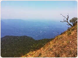 Kollur