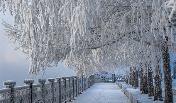 Krasnoyarsk  Russia