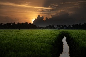 Kuttanad