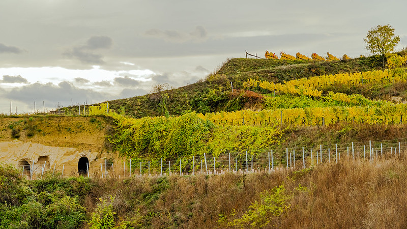 Langenlois Lower Austria Austria