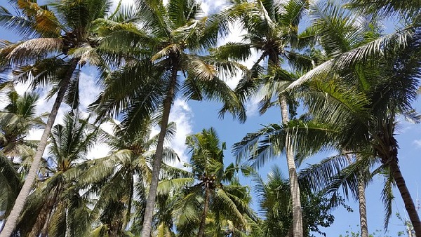 Lembongan  Indonesia