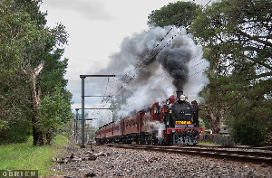Lilydale