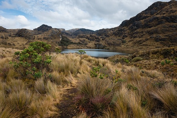 Loja  Ecuador