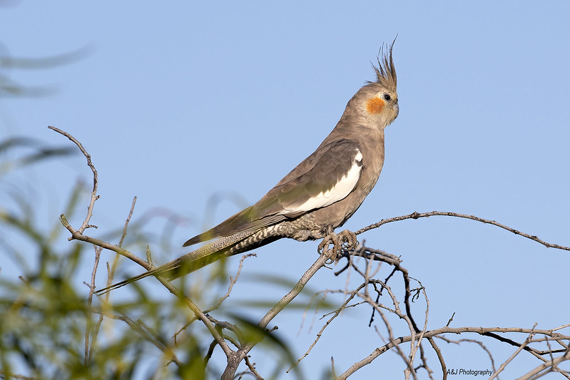 Longreach Queensland Australia