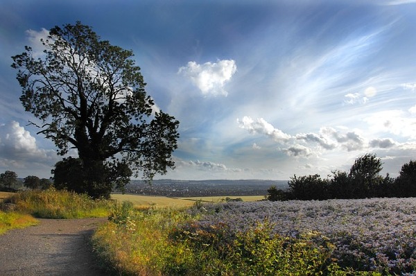Luton  England