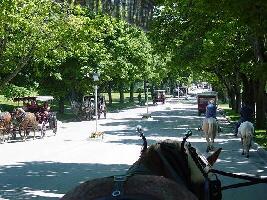 Mackinac Island