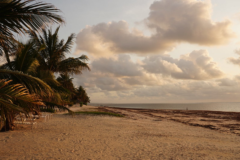 Malindi  Kenya