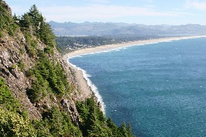 Manzanita
