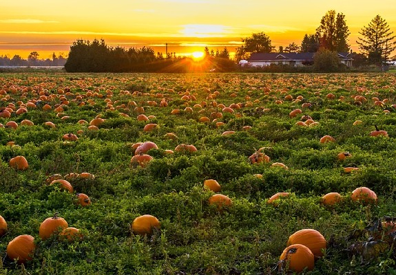 Maple Ridge  Canada