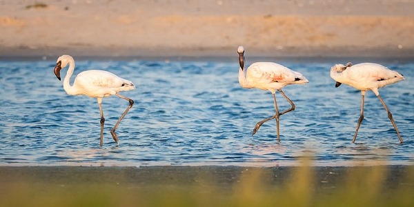 Milnerton  South Africa