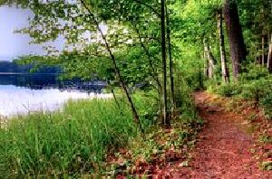 Minocqua