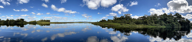 Miranda Pantanal Brazil