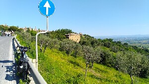 Montalcino