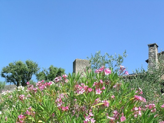 Monteriggioni Tuscany Italy