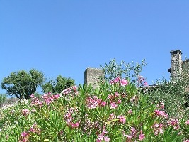 Monteriggioni
