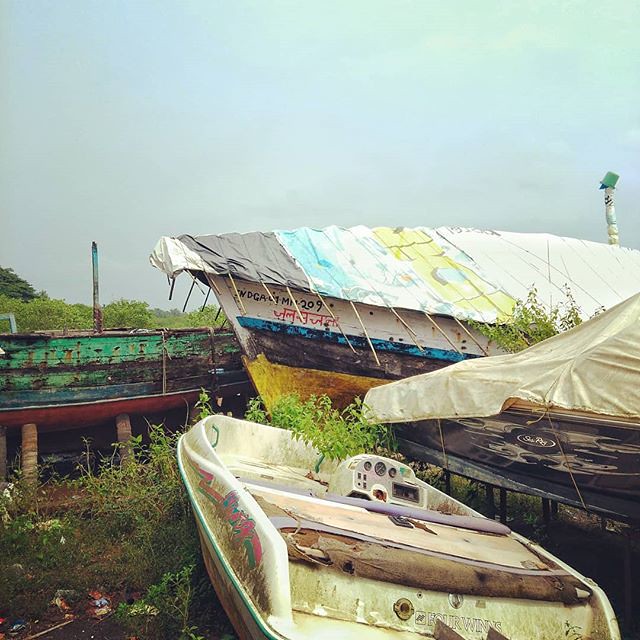 Morjim Goa India