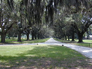 Mount Pleasant South Carolina United States