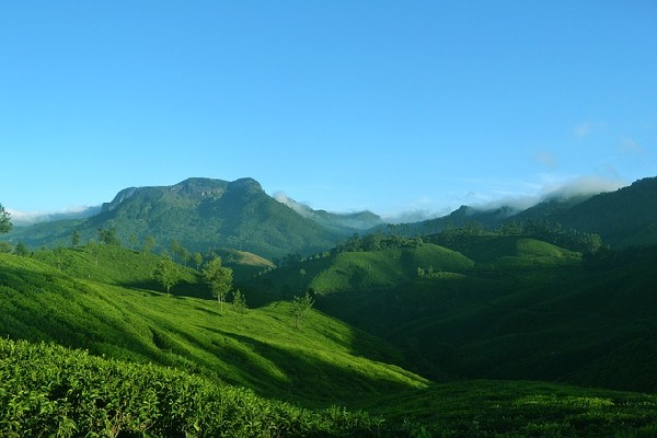 Munnar Kerala India
