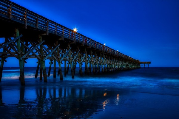 Myrtle Beach South Carolina United States
