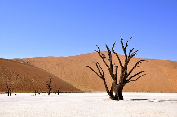 Namibia