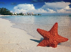 Nassau