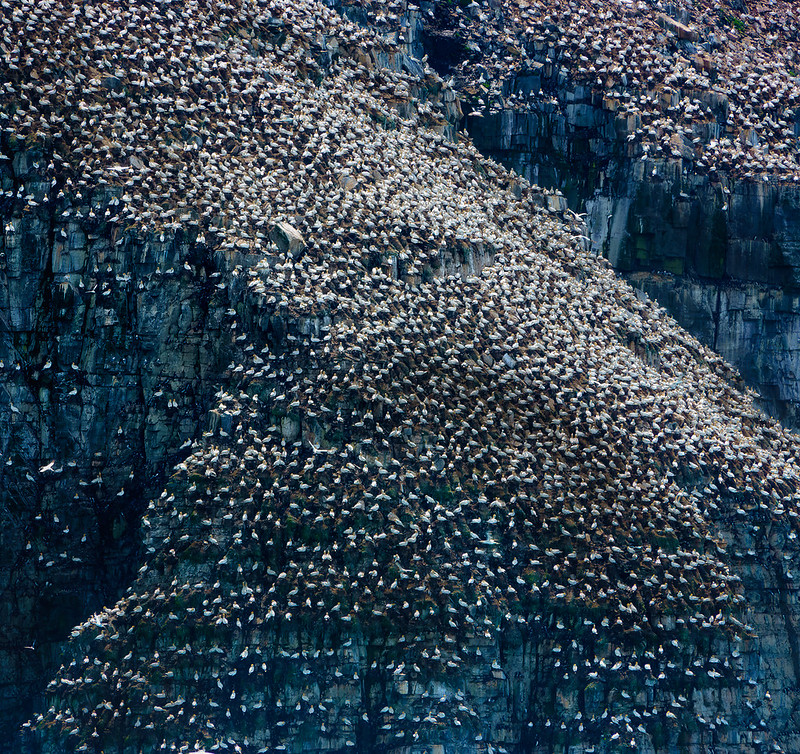 Newfoundland and Labrador Canada