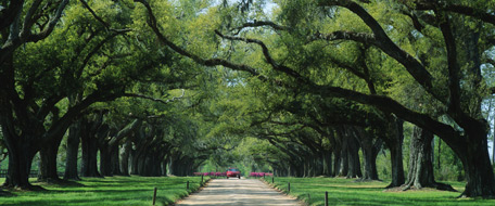 North Charleston South Carolina United States