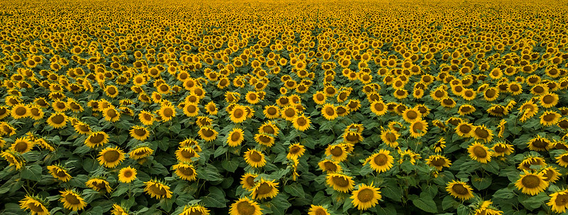 North Dakota United States