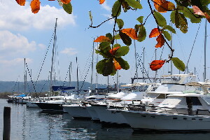 Olongapo
