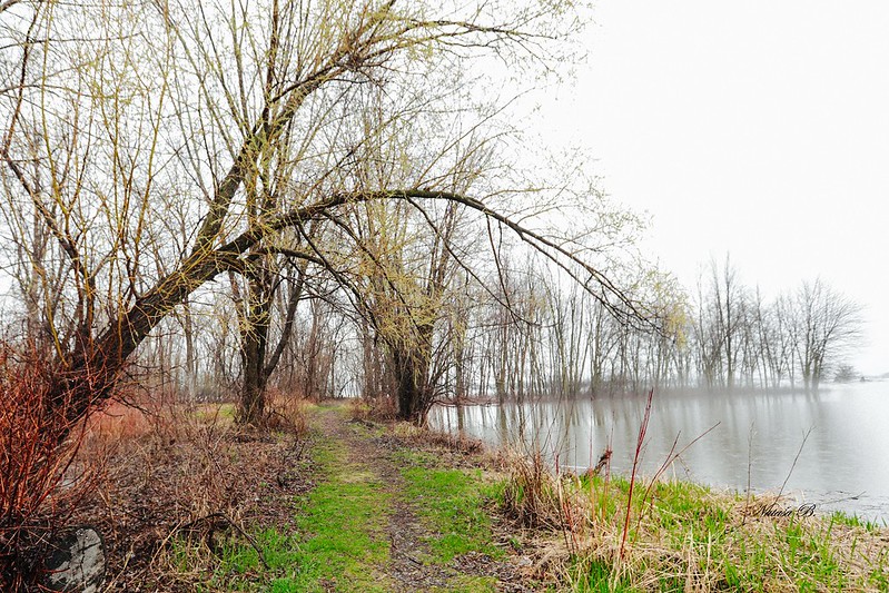 Ottawa Ontario Canada