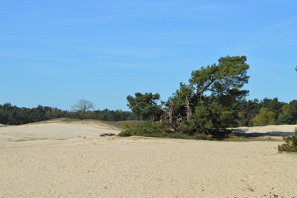 Otterlo  Netherlands