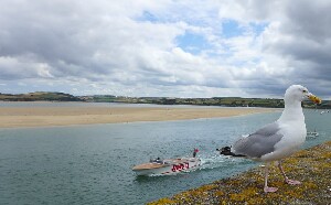 Padstow