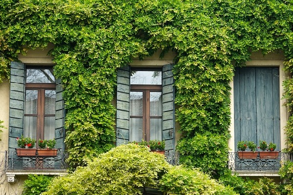 Padua  Italy