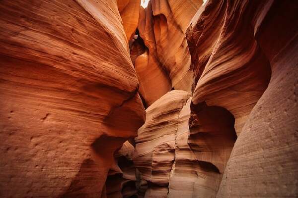 Page  Arizona