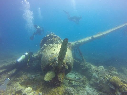Palau  Palau