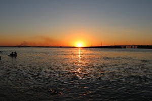 Palmas