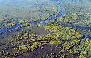 Pantanal, Brazil