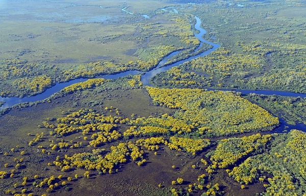 Pantanal Brazil