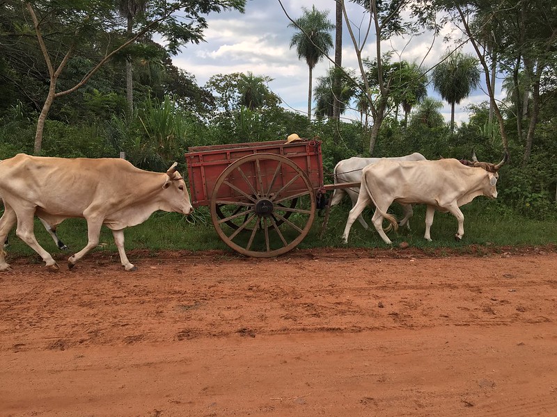 Paraguari  Paraguay