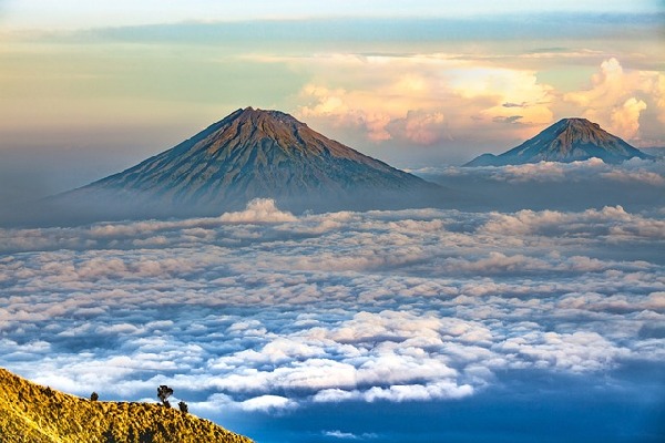 Payangan  Indonesia