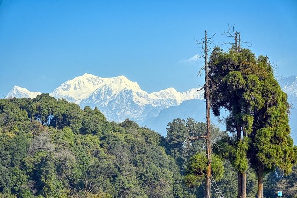 Pelling  India