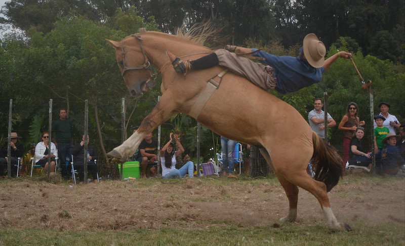 Pelotas  Brazil